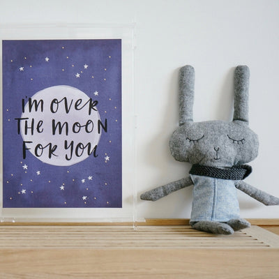 And The Little Dog Laughed - 'Lloyd' Rabbit