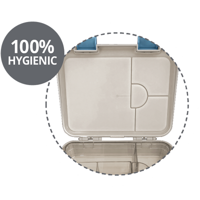 My Family Easy Clean Bento TRex